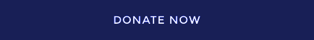 DonateNowBtn